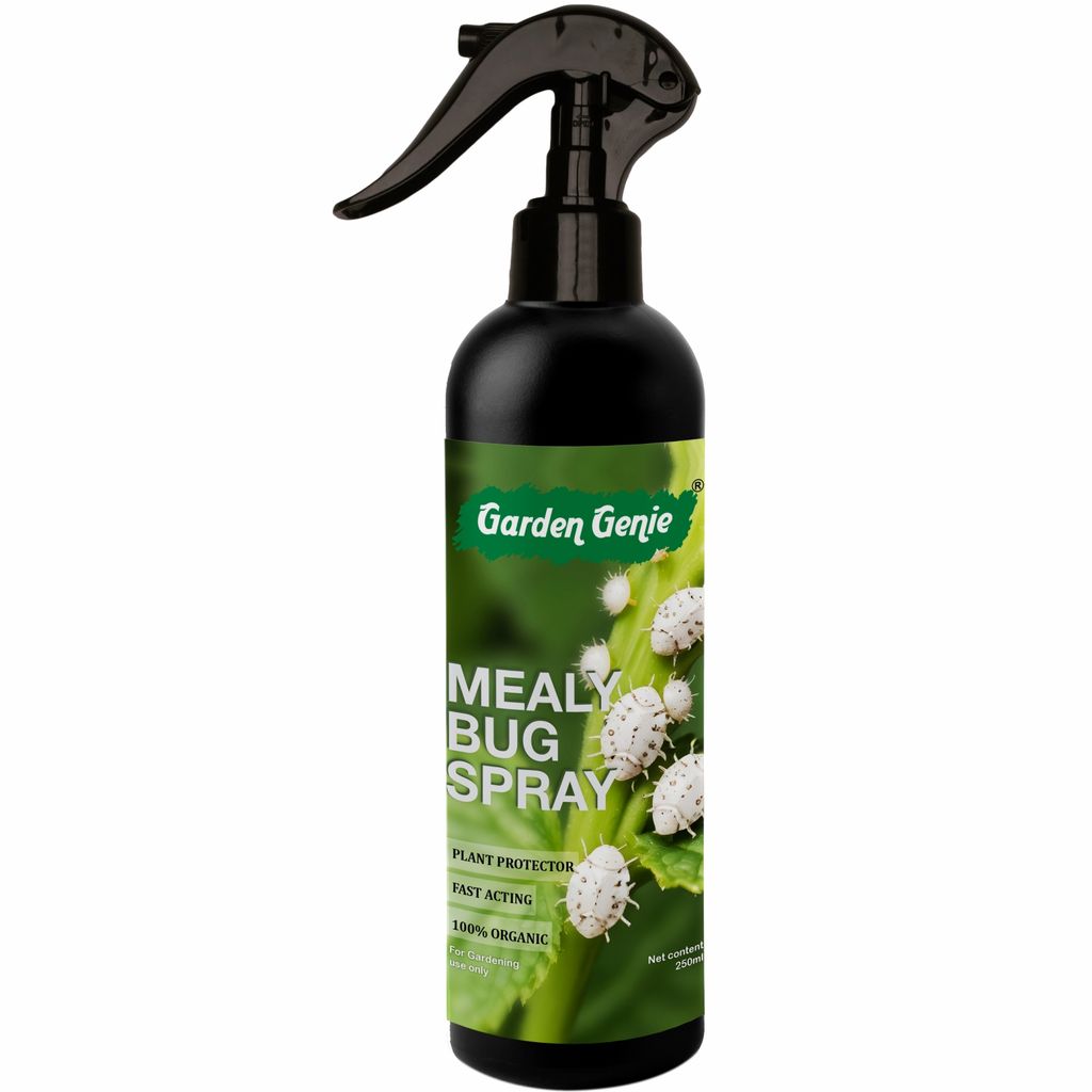 Garden Genie Mealy Bug Killer Spray for Plants 250ml | 100% Natural White Bug Insecticide for Plants Home Garden | No Harmful Chemicals | Pet & Children Safe