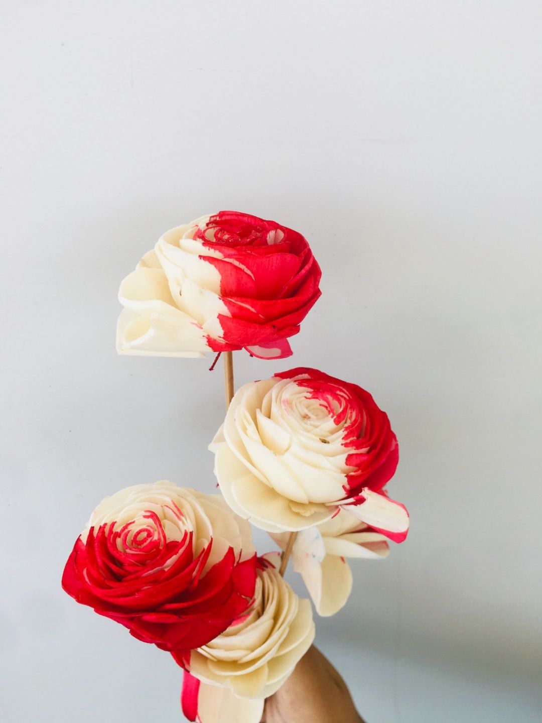 Strawberry Pink Sola Flower (5pcs)