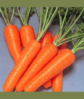Vedhahi Organic Carrot Vegetable ( 30 Seeds )