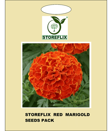 red marigold flower 50 seeds pack with free cocopeat and user manual