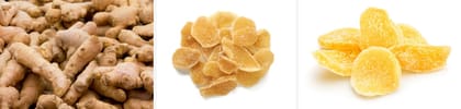NUTZ PLUZ DELIGHTZ DRIED GINGER CHIPS 500g