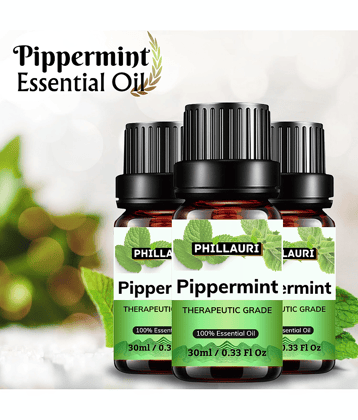 Phillauri Peppermint Others Essential Oil Fruity With Dropper 90 mL ( Pack of 3 )