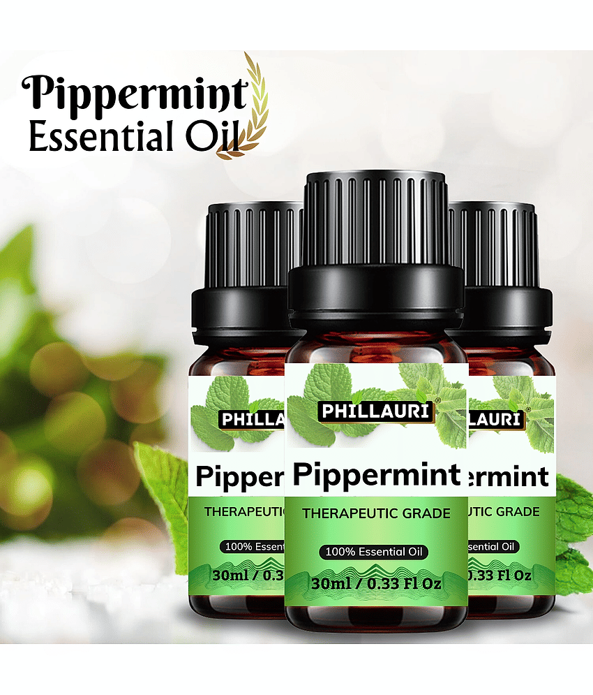 Phillauri Peppermint Others Essential Oil Fruity With Dropper 90 mL ( Pack of 3 )