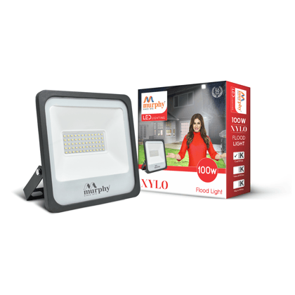 100W LED Flood Light - XYLO-Cool White / Pack of 1