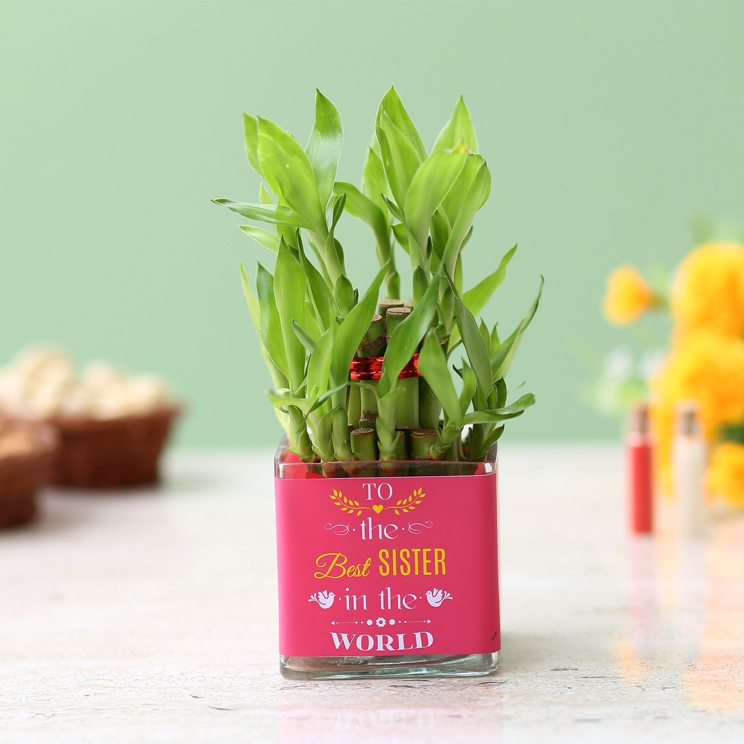 Two Layer Bamboo Plant For Best Sister