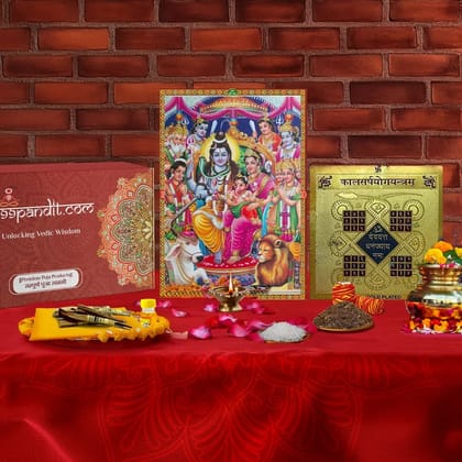 Vedic Kaal Sarp Dosh Puja Samagri Kit 26 Items