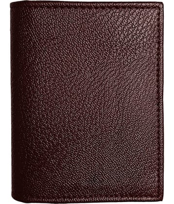 Wingers PU Leather Card Holder ( Pack 1 )