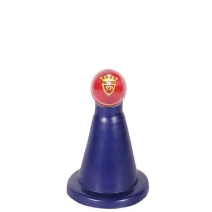 SP Cricket Batting Tee Cones