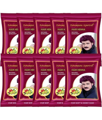 Parampara Ayurved Burgundy Hair Henna Burgundy Hair Color Corrector 20 g Pack of 10