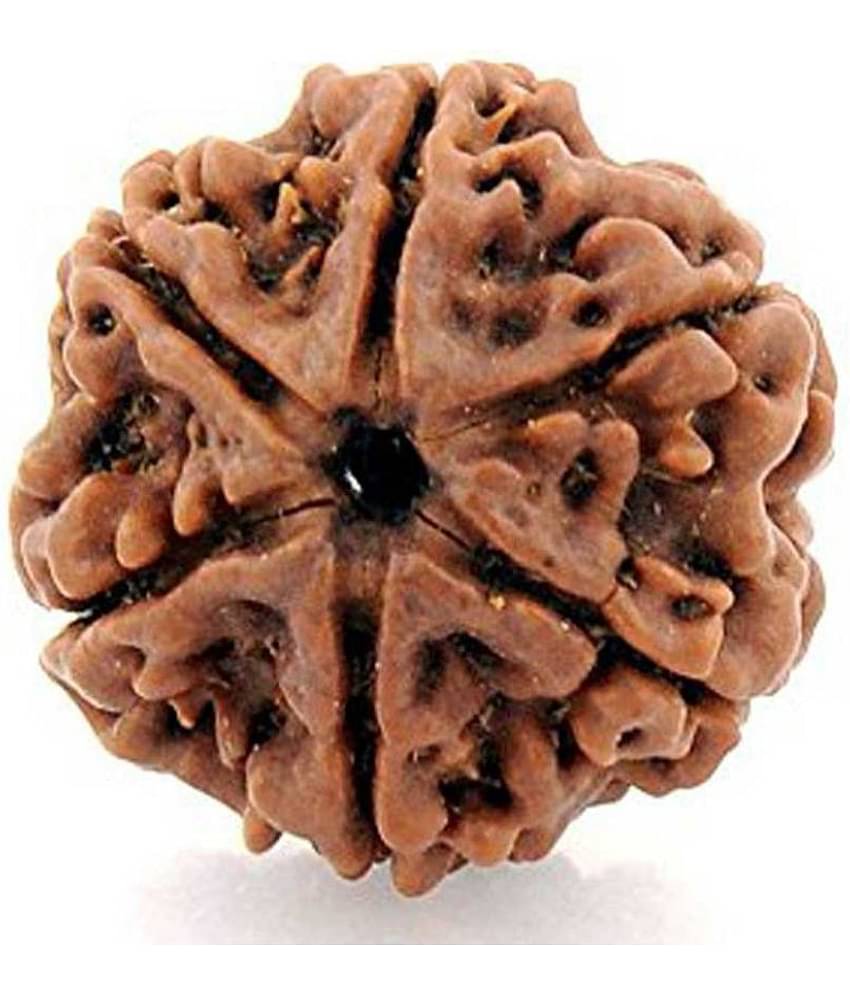 PAYSTORE Rudraksha Pack of 1