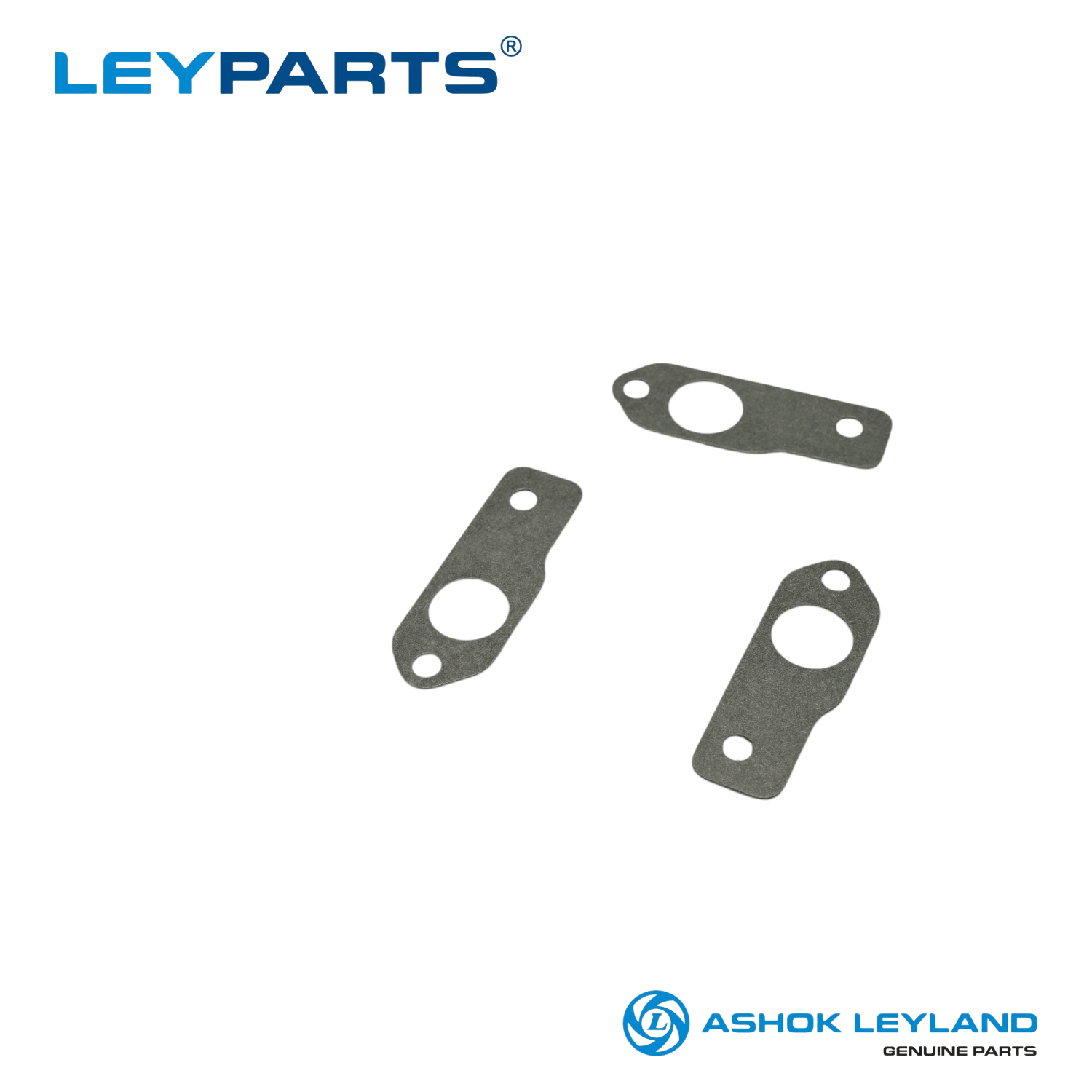 F7Y01100 GASKETSTRAINER Bada Dost and Dost varaiant