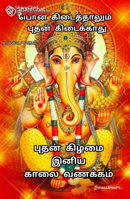 Sneha