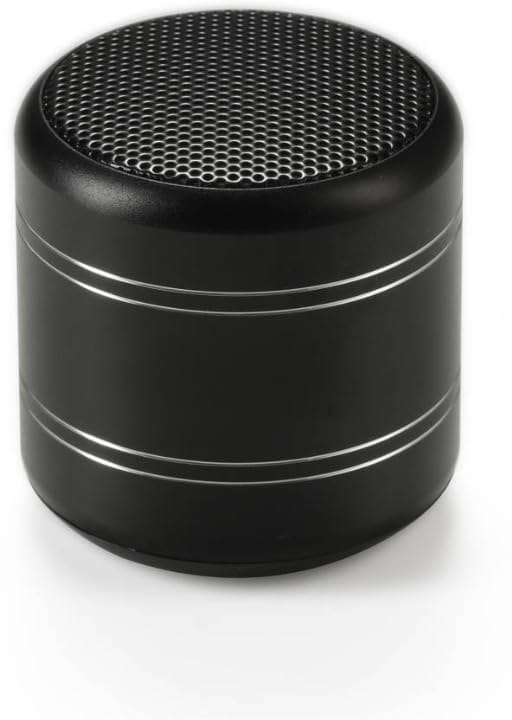 Dynamic Metal Sound with High Bass Bluetooth Speaker Rechargeable Bluetooth Indoor and Outdoor Speaker for Support TF Card & Mic Compatible with All Smartphones