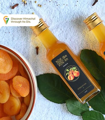 Apricot Oil – Pure Cold-Pressed Pahadi Gutti Ka Tel Apricot Oil – Pure Cold-Pressed Pahadi Gutti Ka Tel