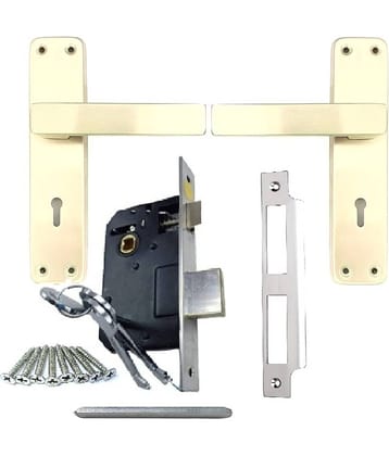 Onmax Stainless Steel 7 inches High Quality Premium Range Matt Satin Silver Finish with Slim Mortise Door Lock Set and 6 Lever Double Action Brass Latch Brass Bhogli Lockset (SML6+SS703MSS)