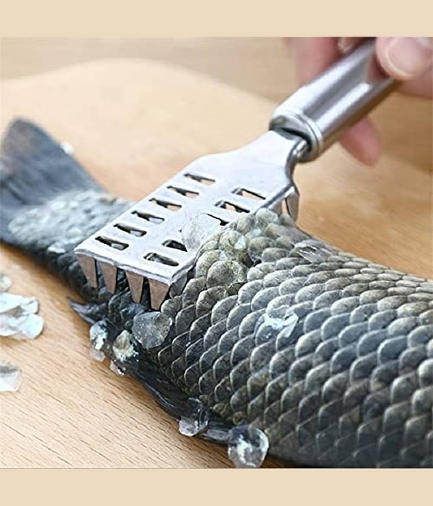 analog kichenware Silver Stainless Steel Fish Scaler 1 Pic ( Set of 1 )