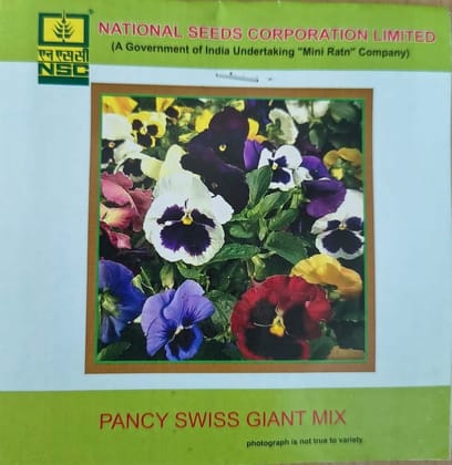 NSC Pancy Swiss Giant Mix Flower Seed NSC Pancy Swiss Giant Mix Flower Seed