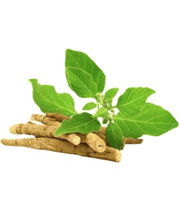 Nutrixia Food Others 50 Gm Pack of 1