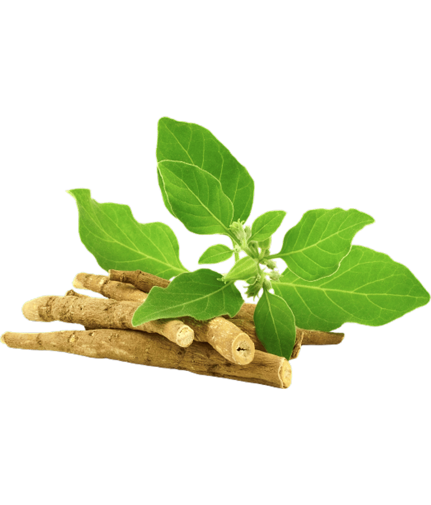 Nutrixia Food Others 50 Gm Pack of 1