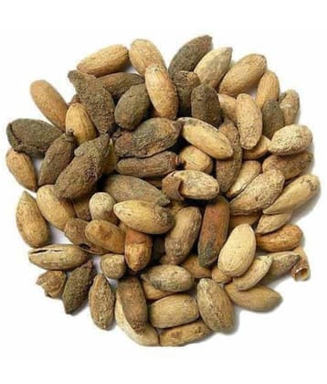 Nutrixia Food Neem seed Beej 104 gm