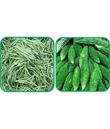 Aero Seeds Bitter Gourd ( 30 Seeds) And French Beans ( 30 Seeds) Vegetable Seeds Pack
