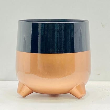 Metal Table Top Flower pot (Gold & Black)