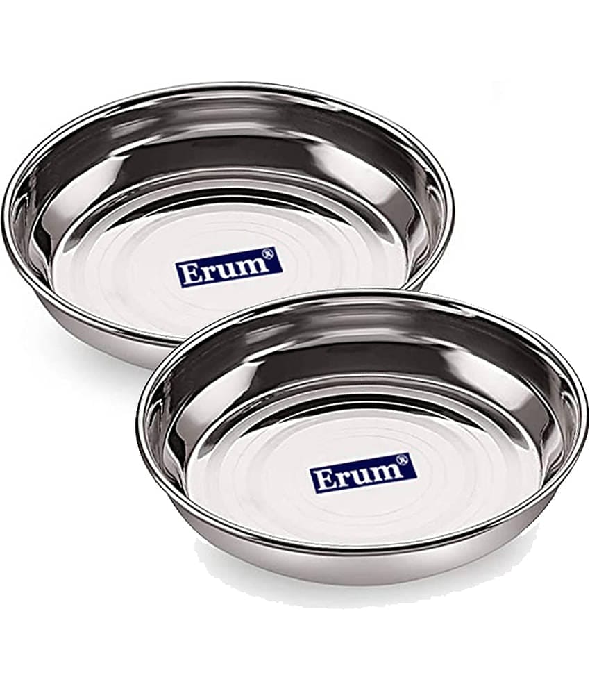 erum 2 Pcs Stainless Steel Steel Dessert Plate