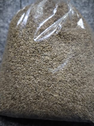 Ajwain