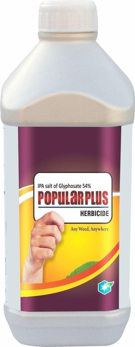 POPULAR PLUS