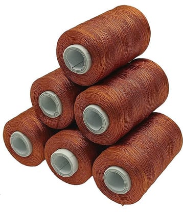 PRANSUNITA Polyster Silk ( Resham )Twisted Hand & Machine Embroidery Thread ( Pack of 6 )