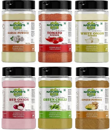Natures Gift Garlic, Ginger, Red Onion, Tomato, White Onion & Green Chilli Powder - 100 Gm Each (Super Saver Combo) Powder 600 gm Pack of 6