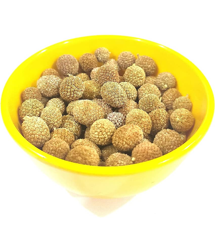Nutrixia Food Gorakh Mundi/गोरखमुंडी / Asteraceae/Sphaeranthus indicus 980 gm