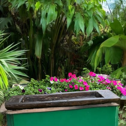 Long wooden planter : Burhan -7 (4 feet +)