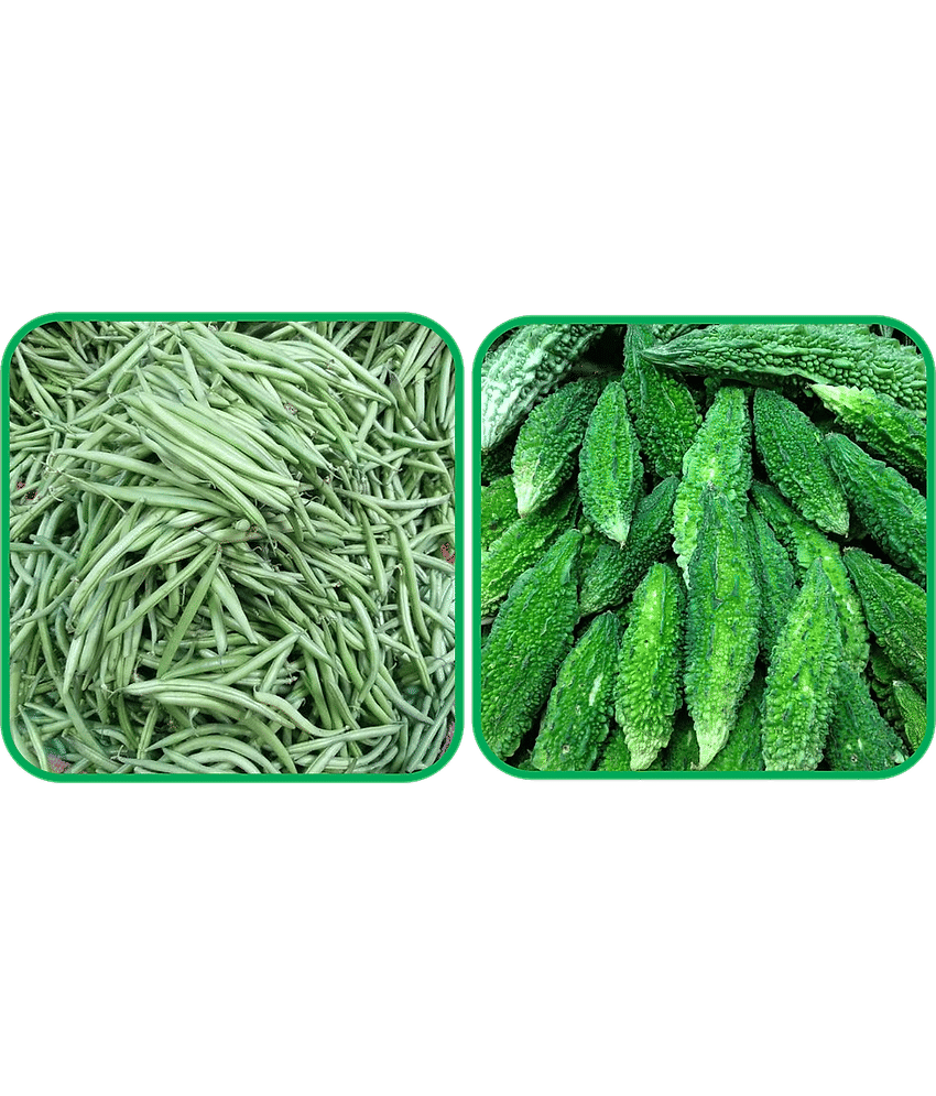 Aero Seeds Bitter Gourd ( 30 Seeds) And French Beans ( 30 Seeds) Vegetable Seeds Pack