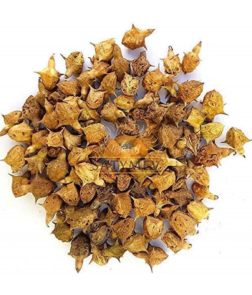 Vinarghya Pharmaceuticals Bada Gokhru / Brihat Gokshru Trikantaka Raw Herbs 100 Gm Pack of 1