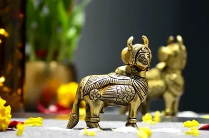 DECORATIVE KAMDHENU COW for Home Décor  by Snova Enterprises