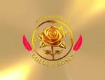 The Golden Roses India