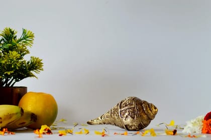 Brass Shankh, Attractive Brass Conch for Temple (Color - Golden, Size - 2.5H *5.25L*2.5B) by Snova Enterprises Brass Shankh, Attractive Brass Conch for Temple (Color - Golden, Size - 2.5H *5.25L*2.5B) by Snova Enterprises