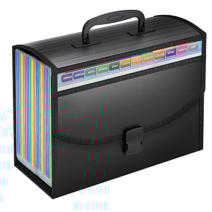 Storite 25 Pockets Accordion File Organizer With Handle,Expanding File Folders For Documents, A4/Letter Size Expandable Accordian Filing Folders With Visible Window, Black