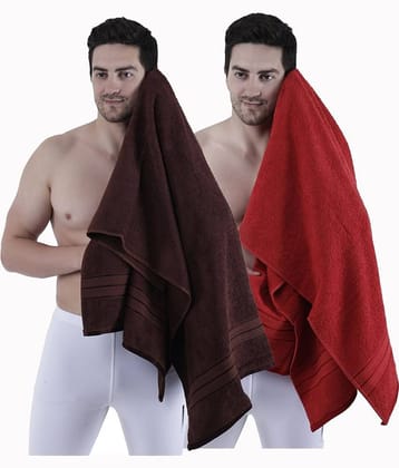 Dollar Cotton Striped 500 -GSM Bath Towel ( Pack of 2 ) - Multicolor