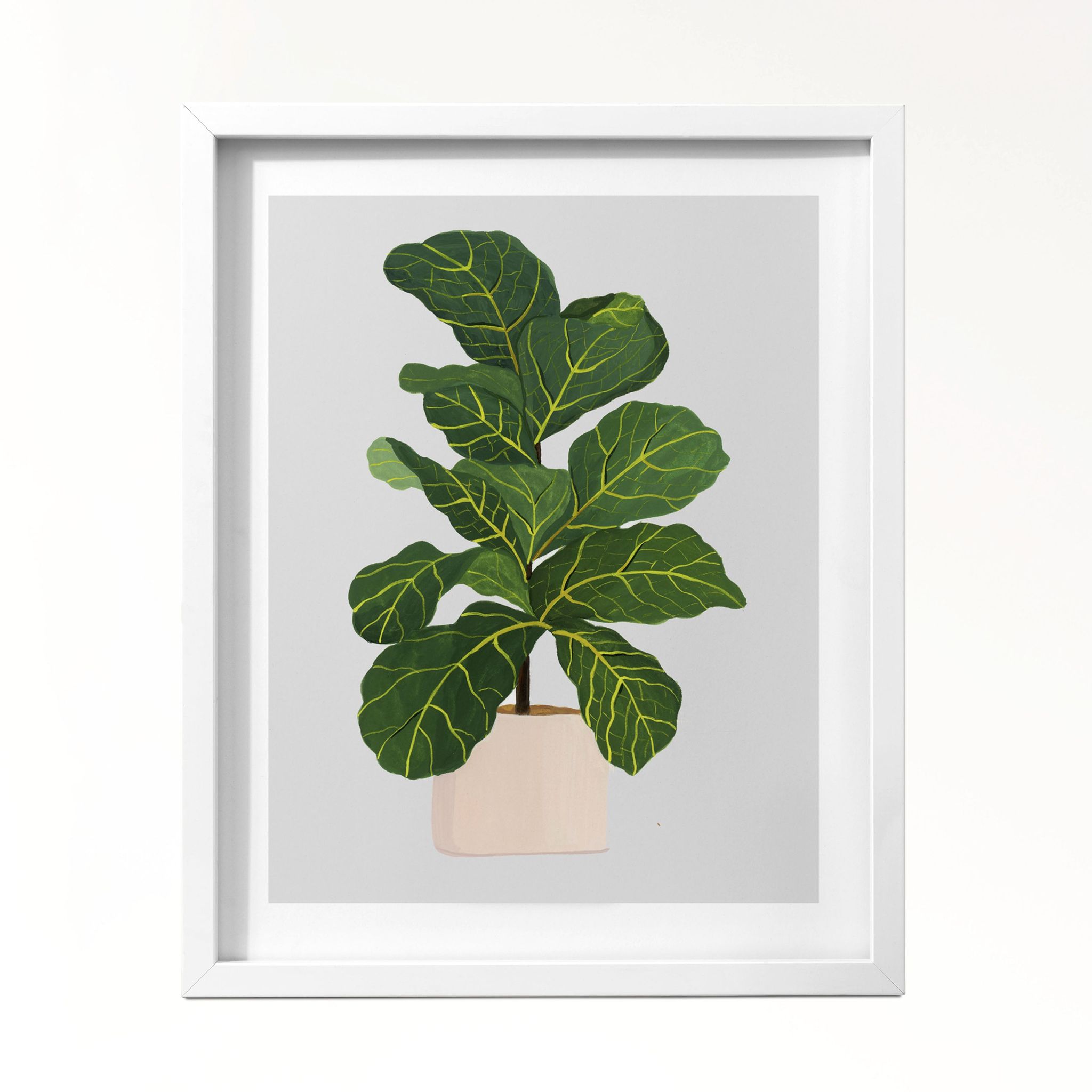 Fiddle Fig Wall Art Frame-8x10 inches / White Frame