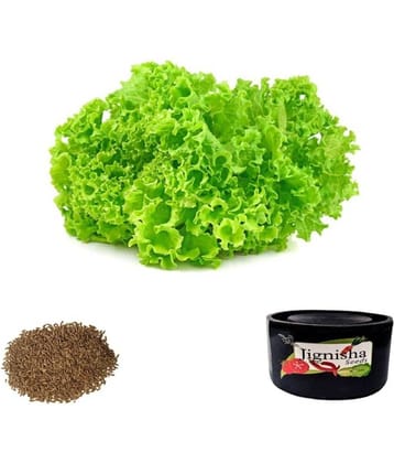 Jignisha Seeds Lettuce Vegetable ( 100 Seeds )