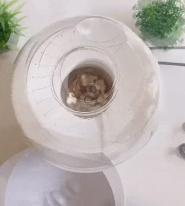 Football-Shaped Popcorn Machine for Home Entertainment (Prepaid Only)