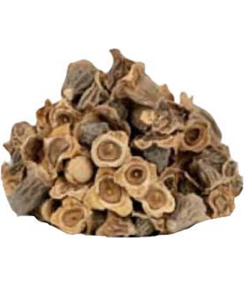 Nutrixia Food Bay Khumba - Careya Arborea-Vakumbha-Kumbhi-Baikhumba&nbsp; 50 gm