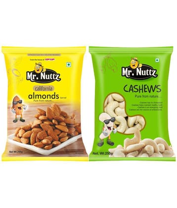 Mr. Nuttz 500g Diwali Special Dry Fruits Combo Pack (Almonds 250g & Cashew Nut 250g)