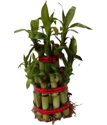 Green plant indoor - Green Wild Artificial Flowers With Pot ( Pack of 1 )