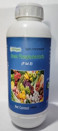 Green P sol B (Phosphobacteria) - 1 L - 1 L - 1 bottle