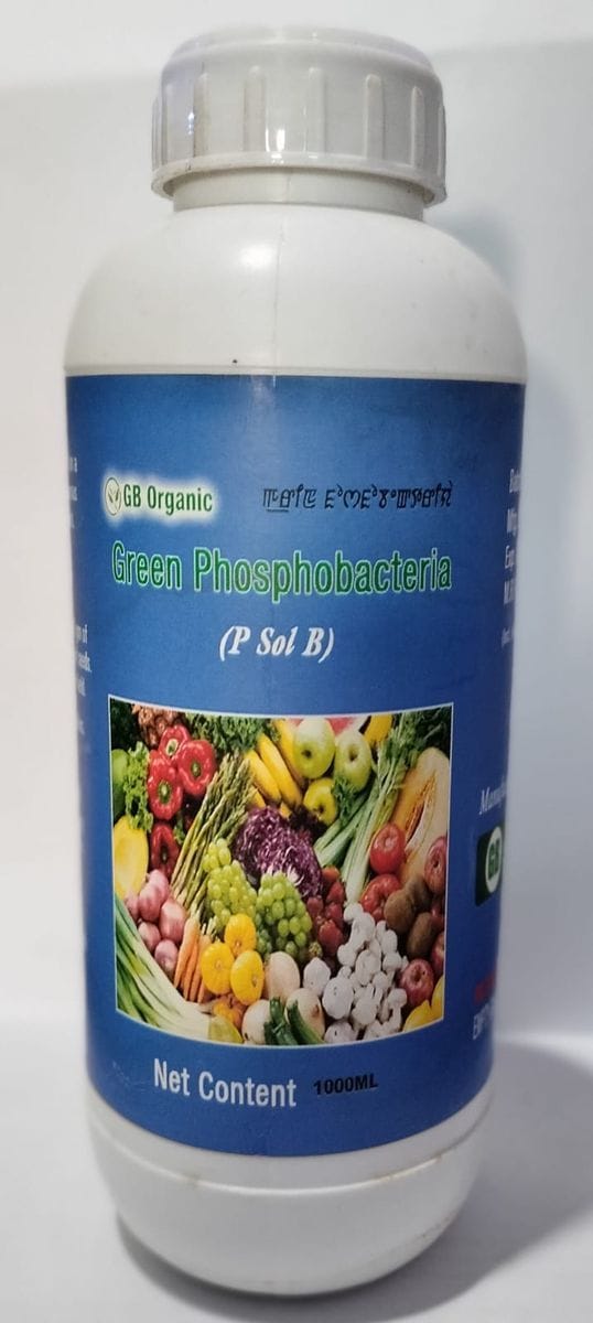 Green P sol B (Phosphobacteria) - 1 L - 1 L - 1 bottle