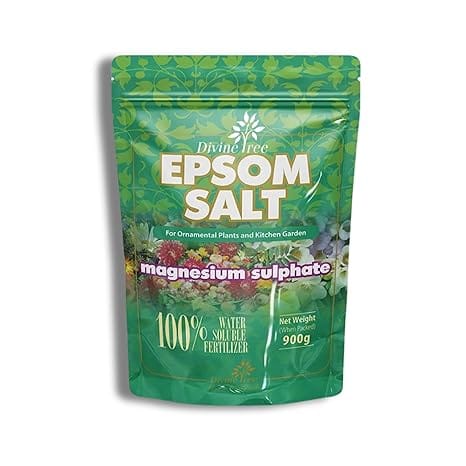DIVINE TREE Epsom Salt for Plant - Water Soluble Organic Plant Fertilizer - Magnesium Sulphate Fertilizer for Plants and Home Garden Boost Growth, Improve Soil & Nourish Healthier Plants (900gm)