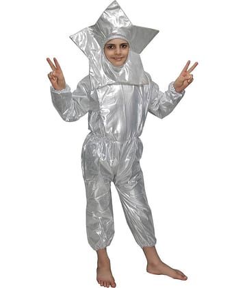 Kaku Fancy Dresses Nature Theme Star Costume -Silver, 3-4 Years, For Boys & Girls